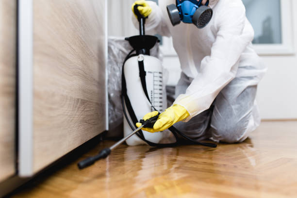 Best Pest Control for Restaurants  in Dakota Dunes, SD