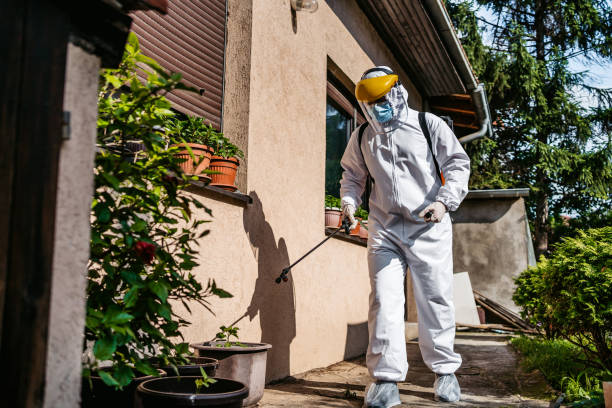 Best Termite Control Services  in Dakota Dunes, SD
