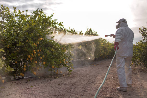 Best Residential Pest Control  in Dakota Dunes, SD