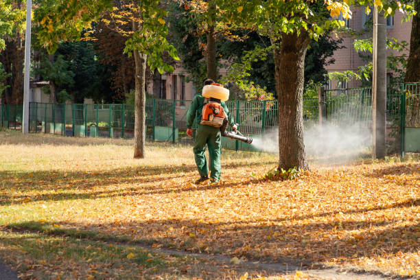 Best Pest Removal Services  in Dakota Dunes, SD