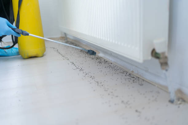Best Bed Bug Extermination  in Dakota Dunes, SD